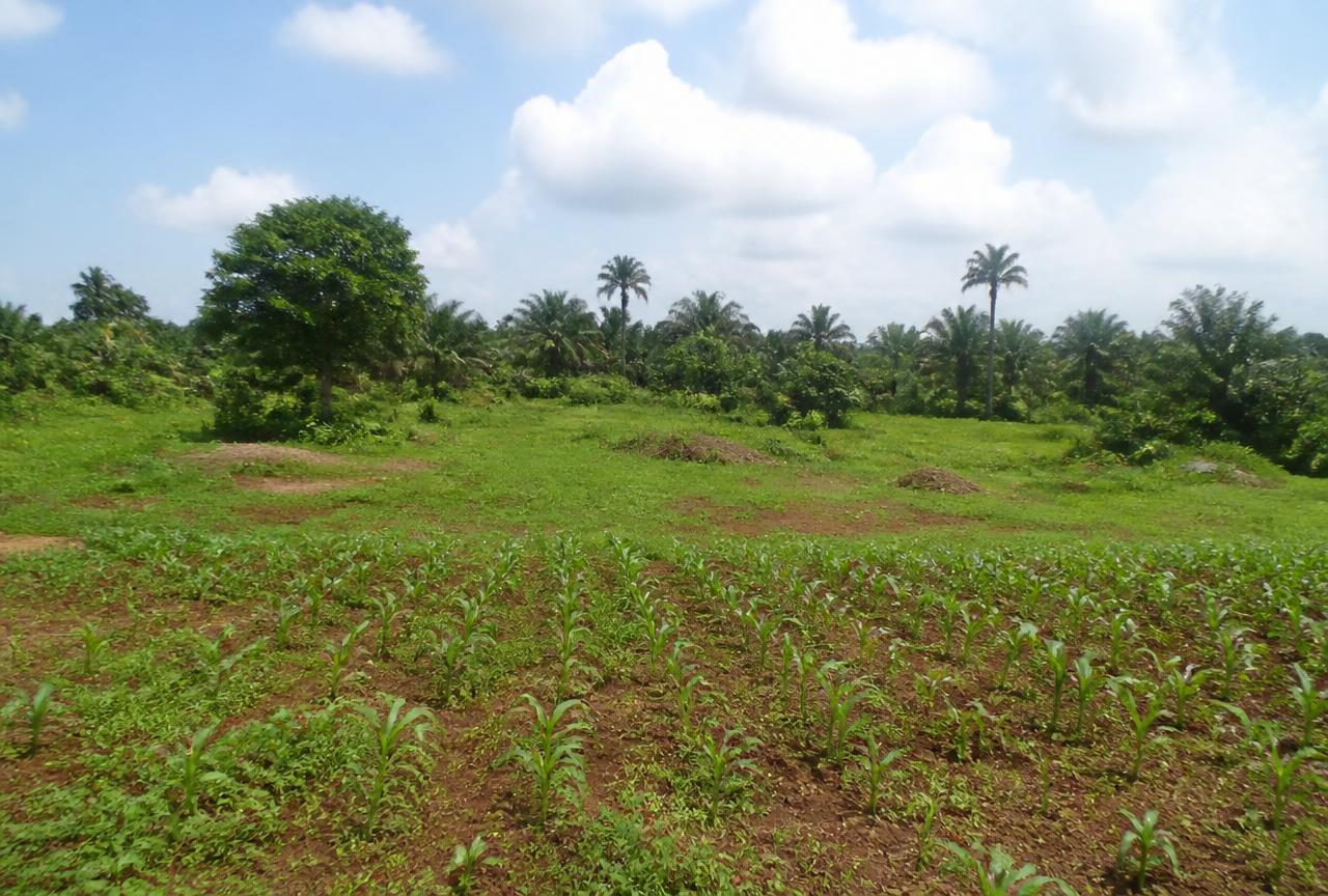Giri — Etanami Estate in Giri, FCT Abuja